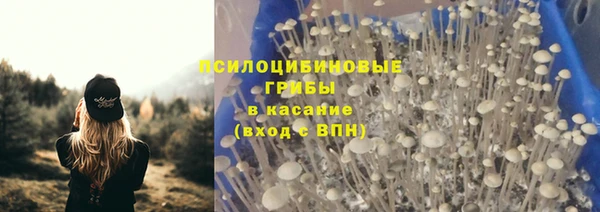 ECSTASY Пролетарск