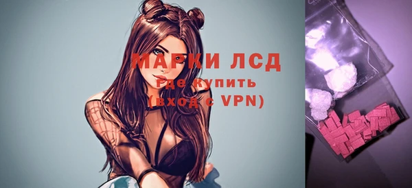 стаф Протвино