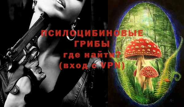 стаф Протвино