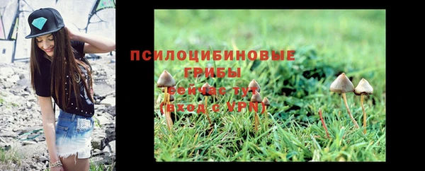 стаф Протвино