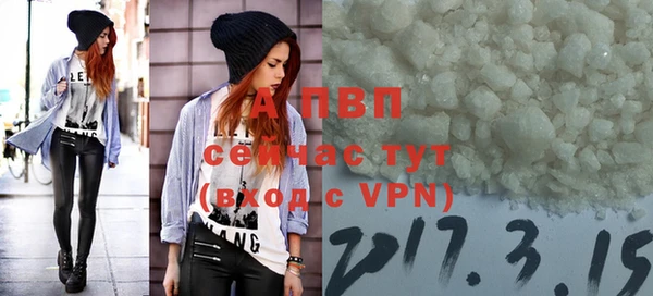 стаф Протвино